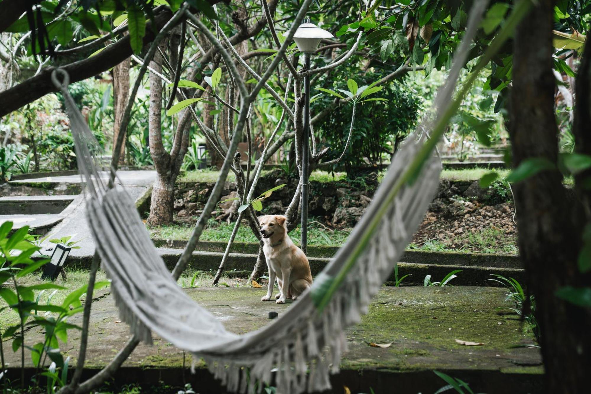 Olo Surf Nature Uluwatu Екстериор снимка